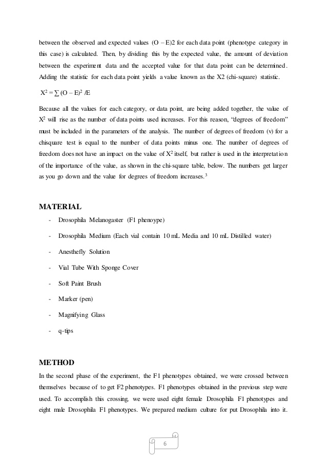 drosophila lab report example